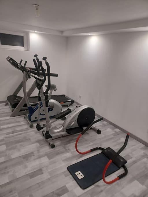 Tres Bel Appartement Type Loft De 40 M2 Dans Maison Avec Parking Privatif リンゴルスハイム エクステリア 写真