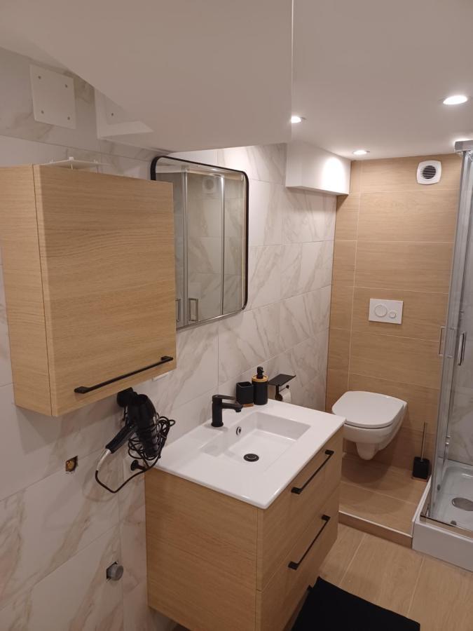 Tres Bel Appartement Type Loft De 40 M2 Dans Maison Avec Parking Privatif リンゴルスハイム エクステリア 写真