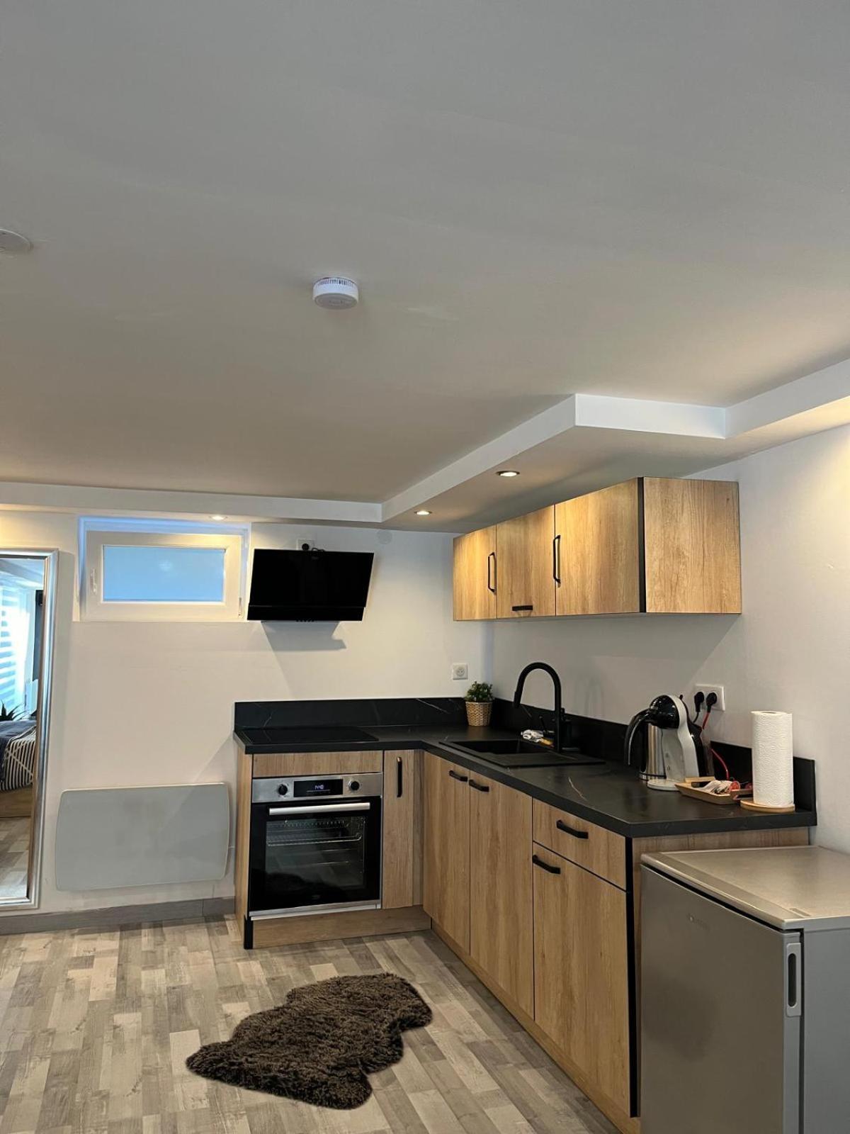 Tres Bel Appartement Type Loft De 40 M2 Dans Maison Avec Parking Privatif リンゴルスハイム エクステリア 写真